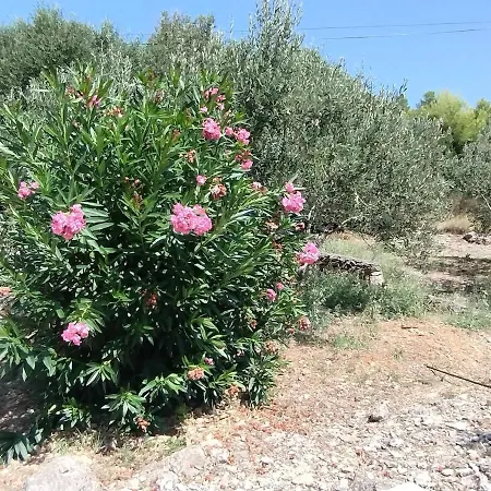 Beautiful House Tatil Evi
