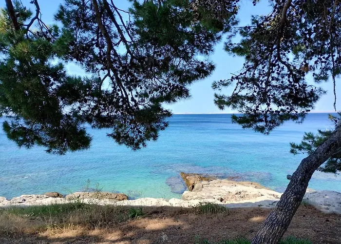 Hébergement de vacances Beautiful House *