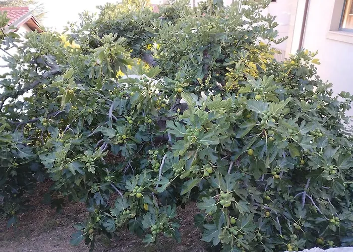 Σπίτι διακοπών Beautiful House Μούρτερ