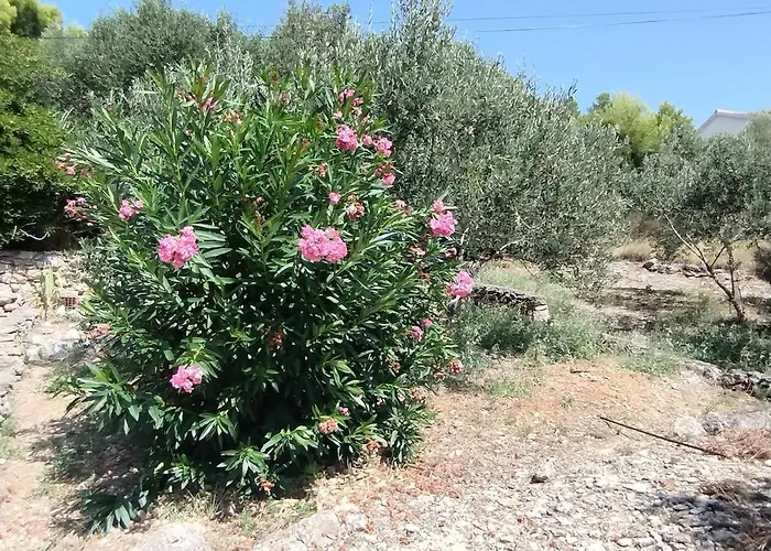 Beautiful House Σπίτι διακοπών